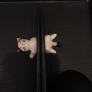 본미당(本味堂) | 대전괴정동맛집::) 본미당 마제소바 솔직후기 !!