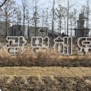 새빛푸드 이미지