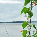 오케바리 이미지