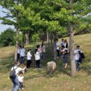 주식회사 한우목장 | 3차 하이록한우체험목장 우수 후기 당첨자 발표