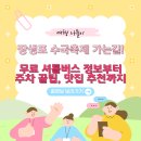 🌸 장생포 수국축제 가는 길! 무료 셔틀버스 정보부터 주차 꿀팁, 맛집 추천까지
