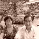 옛날밥상 Daum카페
