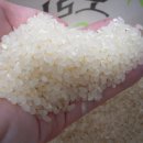 식물나라유기농영농조합법인 이미지