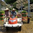 기록태양광발전소 이미지