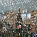 일로도서관 | 코엑스 별마당도서관 크리스마스 축제 후기｜1월까지 즐기는 겨울 사진명소