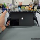 [취미생활] 한국에서 미발매한 PlayStation 포탈 Buyee에서 직구 후기!