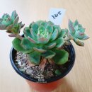 꿈꾸는i작은도서관 이미지