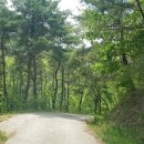 해피데이공인중개사사무소 이미지