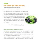 굿 페러 이미지