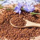 치커리(chicory) 이미지