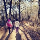 검바위약수터 이미지