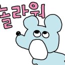 멘쉬디자인 이미지