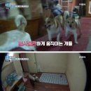 엔젤모텔 이미지