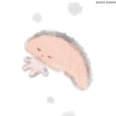 디페부스후기