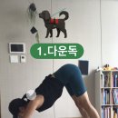 렛잇독 이미지