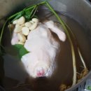고로쇠산삼농원