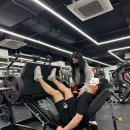 단풍나무짐 이미지