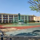 신탄진용정초등학교 이미지