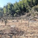 동읍스카이부동산중개사무소 이미지