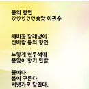 봄의향연 이미지