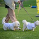 일원본-105 이미지