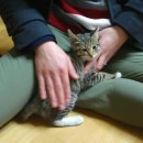 프린스실용음악학원 이미지