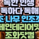 생생조경자재