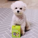 펫노우