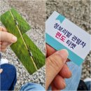 선운산 한우 | 전북 고창 청보리밭 축제 – 봄날의 인생사진 명소!