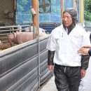 일선축산 이미지