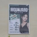 3층메디칼약국 | 마운자로 4개월 후기 -10kg 감량 솔직 부작용과 병원 상담 정리했어요 [내돈내산]