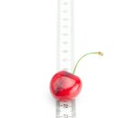 노블 휘트니스 이미지