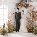 다비스튜디오 이미지