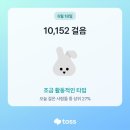 83돼지이야기 이미지