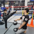 킥복싱 무에타이 복싱 MMA 국제체육관 효성점 이미지