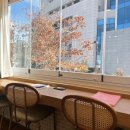 코스모스미용실 | 영등포 신림 미용실 추천 심야미용실 블룸9헤어 솔직후기!