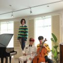 호피폴라 카카오 검색결과