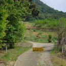 상석농장 이미지