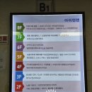 이가네양갈비양꼬치영통 | 영통맛집 이가네양꼬치 영통점 양갈비 양등심꼬치 후기