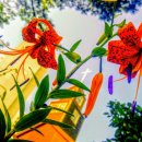 평광세탁소 이미지