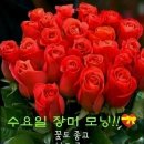 수요일 - 종로구 인사동길 36 | 수요일