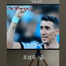 코쿤스토리 이미지
