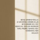 평안 Daum카페