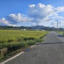 남평공인중개사사무소 이미지