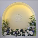 디에고푸스 동탄점 리파인네일 | [동탄 발관리] 동탄 내성발톱 무좀발톱 치료후기, 리파인네일