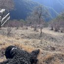 탕곡리 마을회관 이미지