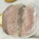 순돌이 활어직판장 | 진월동 맛집_순돌이활어직판장 솔직 후기