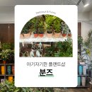 분즈 이미지
