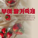 동빈네딸기체험 이미지
