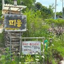 피움스테이 이미지